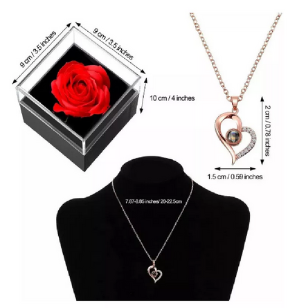 Rosa Eterna en Caja + Collar Proyección 'Te Amo' – Regalo que Enamora 💖